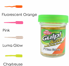 Berkley Gulp Alive Fish Fry 2cm LRF Silikonu